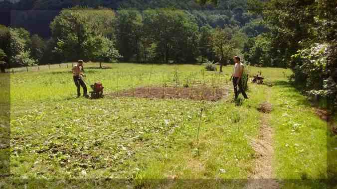 Dachsbweghof_wwoof_1