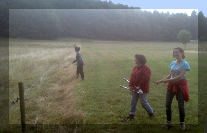 Dachsbweghof_wwoof_2